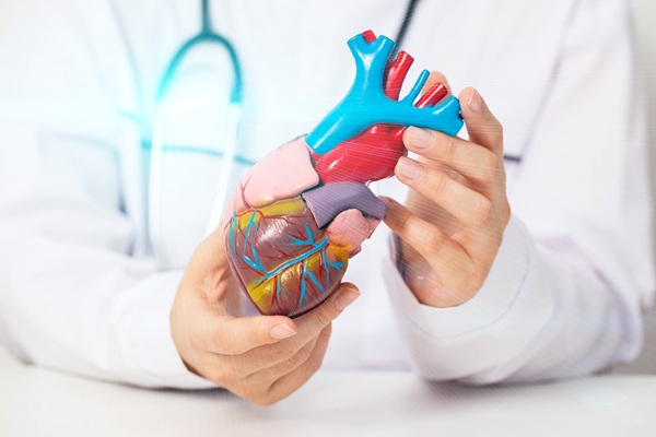 High Cholesterol: The First Steps In Lowering Your Cholesterol
